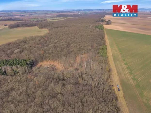 Prodej lesa, Slatiny, 6169 m2