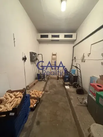 Prodej obchodního prostoru, Dačice, B. Němcové, 600 m2