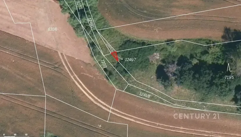 Prodej pole, Střelské Hoštice, 32521 m2