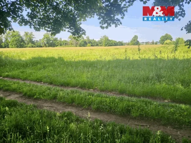 Prodej louky, Hradec Králové - Pražské Předměstí, 816 m2