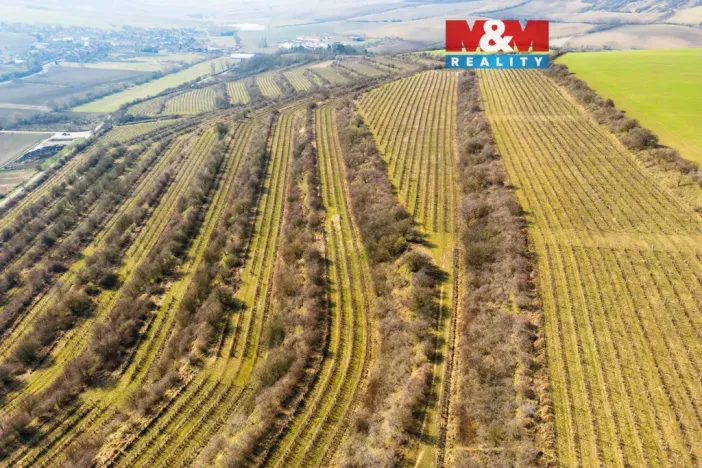 Prodej pole, Morkůvky, 2424 m2