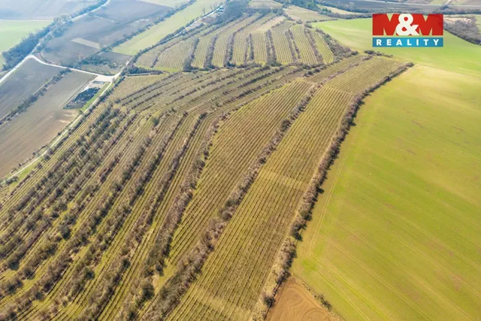 Prodej pole, Morkůvky, 2424 m2