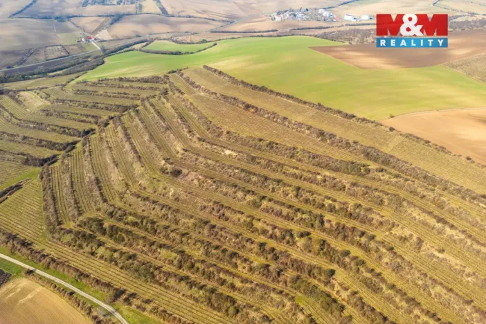 Prodej pole, Morkůvky, 2424 m2