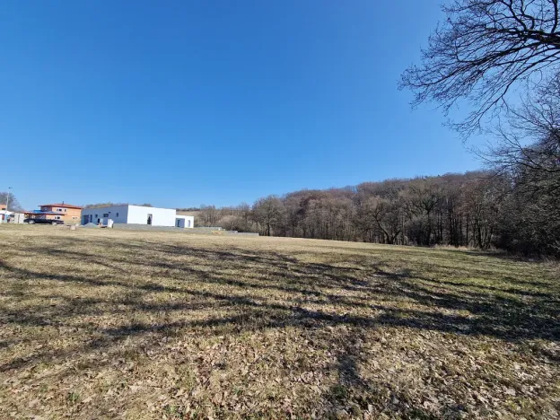 Prodej pozemku, Velká Polom, Okružní, 6038 m2