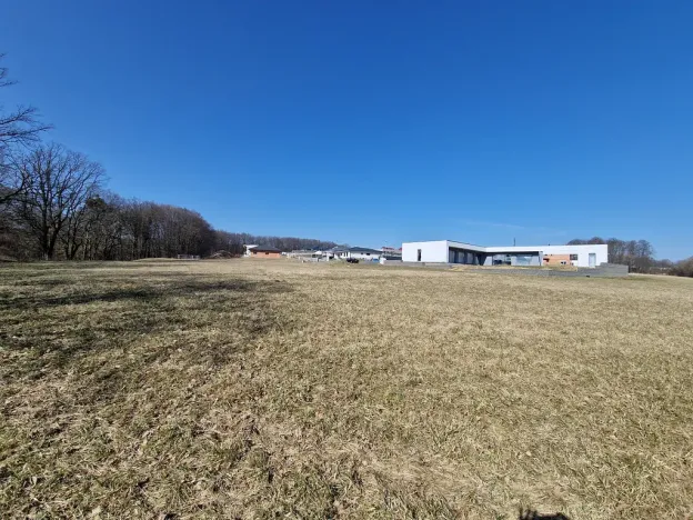 Prodej pozemku, Velká Polom, Okružní, 6038 m2