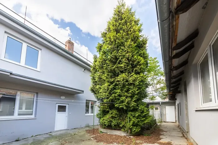 Prodej činžovního domu, Brno, Zezulova, 256 m2