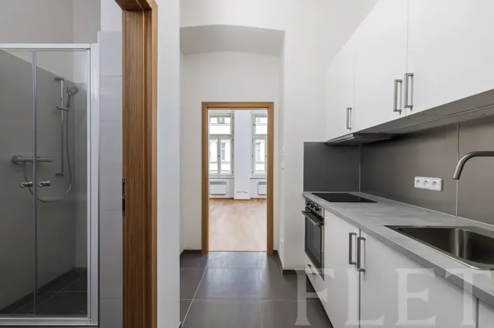 Pronájem bytu 1+kk, Praha - Žižkov, Seifertova, 29 m2
