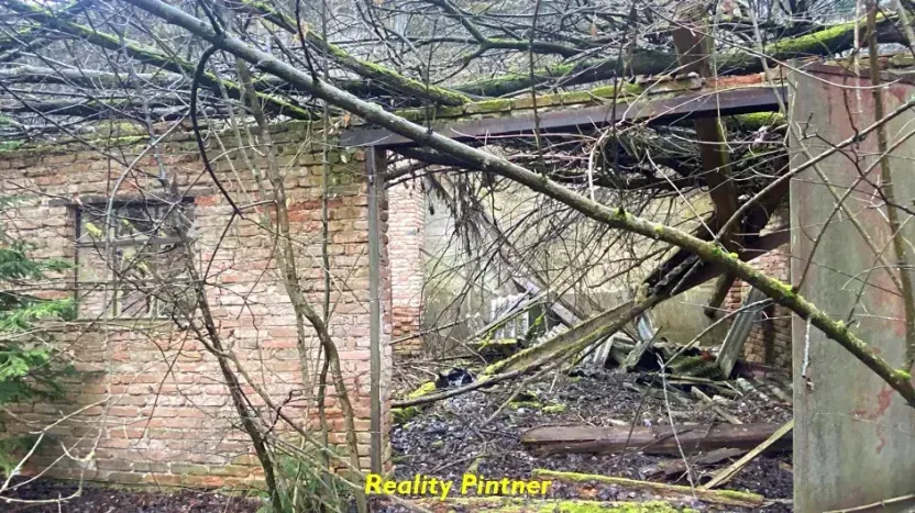 Prodej pozemku, Nový Knín, 3157 m2