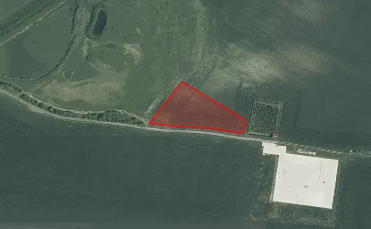 Prodej pole, Šakvice, 6298 m2