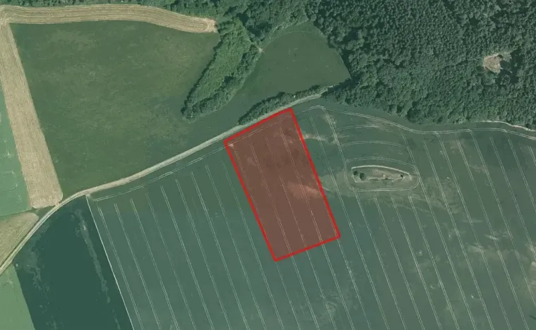 Prodej pole, Šípy, 11600 m2