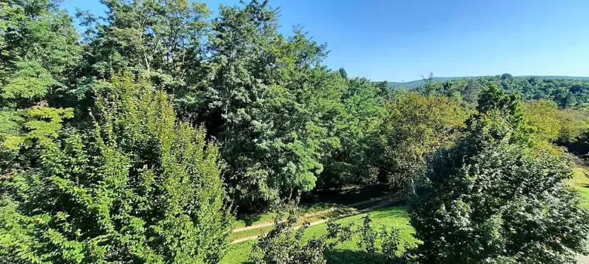 Pronájem bytu 1+kk, Brno, Šemberova, 51 m2