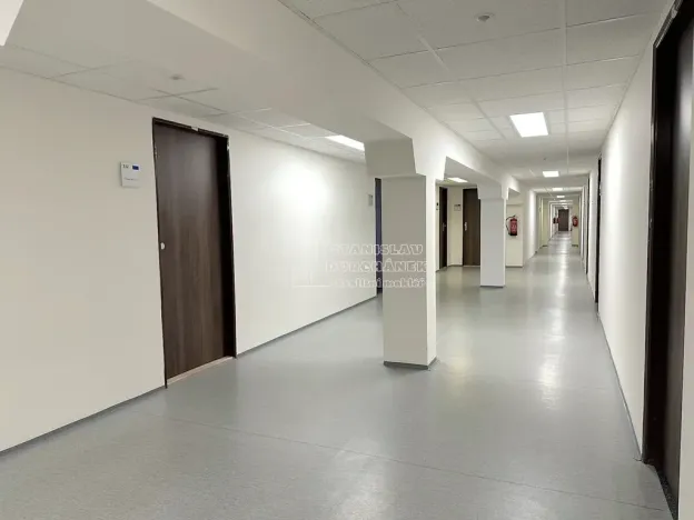 Pronájem kanceláře, Praha - Karlín, Thámova, 19 m2