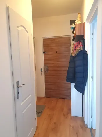 Pronájem bytu 1+1, Hradec Králové, Štefánikova, 40 m2