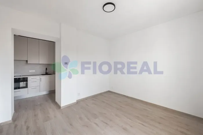 Pronájem bytu 1+kk, Praha - Strašnice, Na hroudě, 24 m2