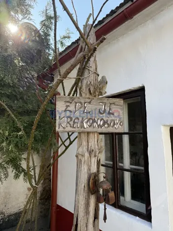 Prodej rodinného domu, Chlum u Třeboně, Husova, 120 m2