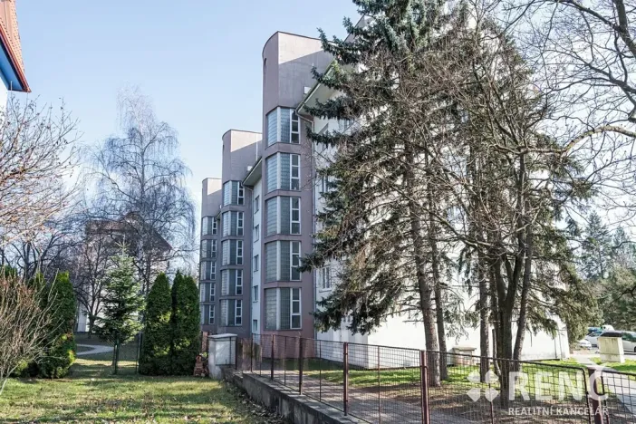Prodej bytu 3+1, Brno, Krásného, 55 m2