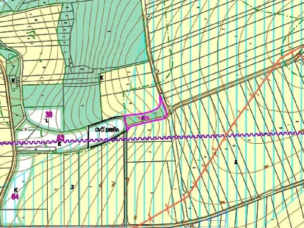 Dražba pozemku, Prusinovice, 2368 m2