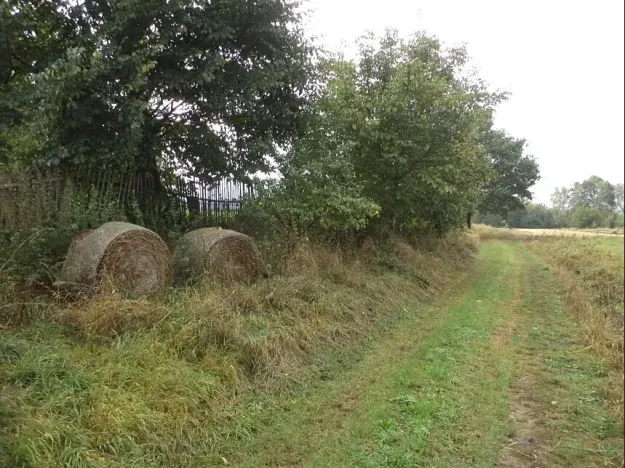 Dražba louky, Horní Pěna, 1083 m2