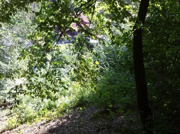 Dražba louky, Děčín, 675 m2