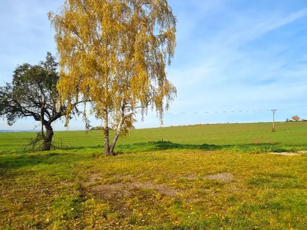 Prodej pozemku pro bydlení, Boseň, 2051 m2