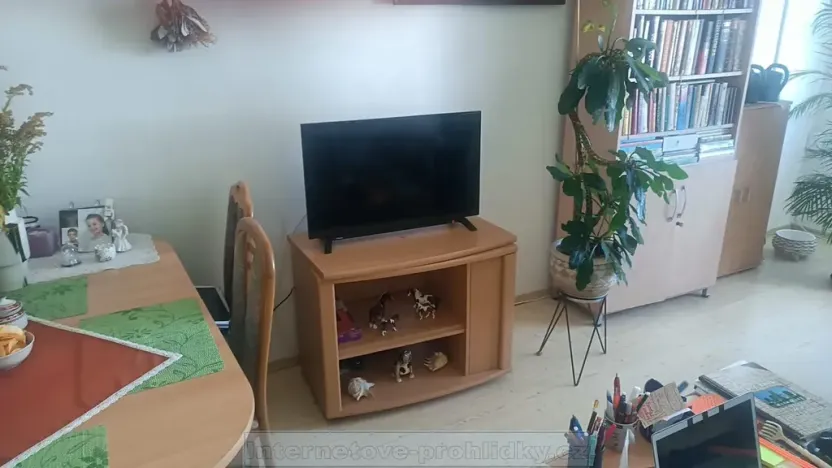 Pronájem pokoje, Praha - Písnice, Na okruhu, 25 m2