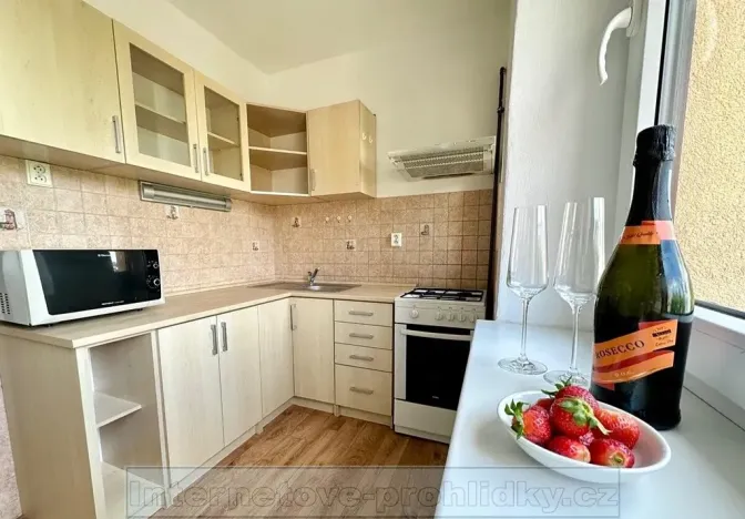 Pronájem bytu 1+1, Praha - Žižkov, Luční, 69 m2