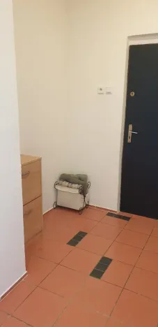 Pronájem bytu 2+kk, Novosedlice, Míru, 40 m2