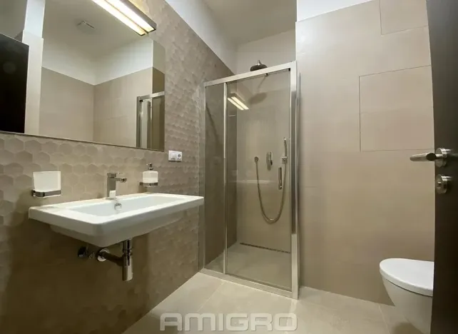 Pronájem bytu 1+kk, Brno, Šumavská, 43 m2