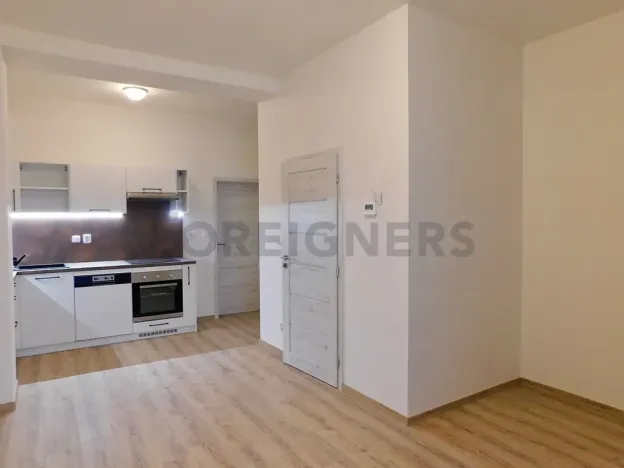 Pronájem bytu 2+kk, Plzeň, Říční, 47 m2