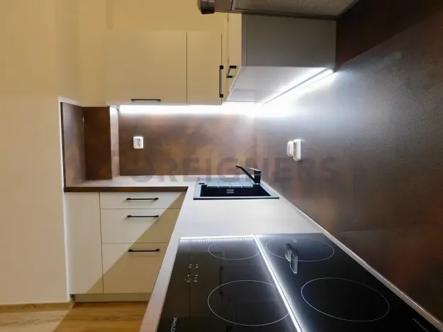 Pronájem bytu 2+kk, Plzeň, Říční, 47 m2