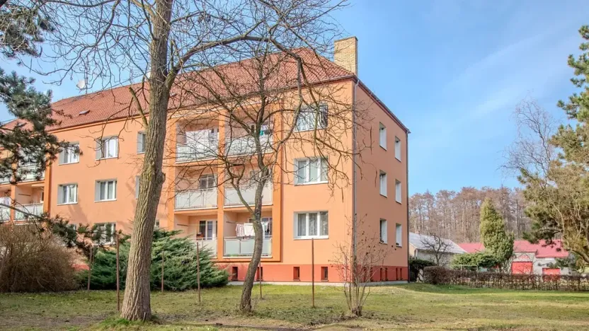 Pronájem bytu 3+1, Velký Osek, Revoluční, 65 m2