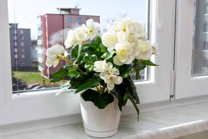 Prodej bytu 2+1, Karviná - Ráj, Školská, 53 m2