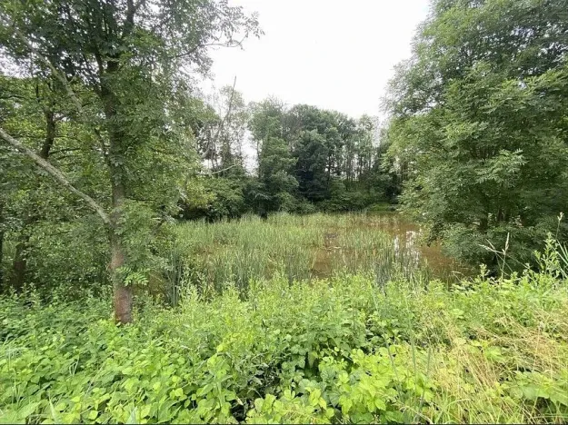 Prodej pozemku, Prusinovice, 2368 m2