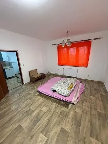 Pronájem vícegeneračního domu, Mladá Boleslav, Jiráskova, 490 m2