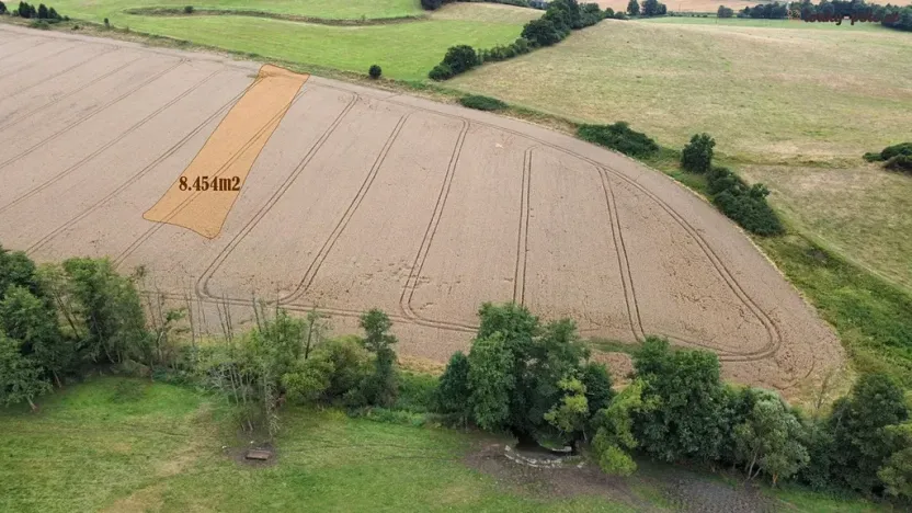 Prodej pole, Srby, 44796 m2