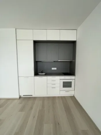 Pronájem bytu 2+kk, Plzeň - Severní Předměstí, Na Chmelnicích, 53 m2
