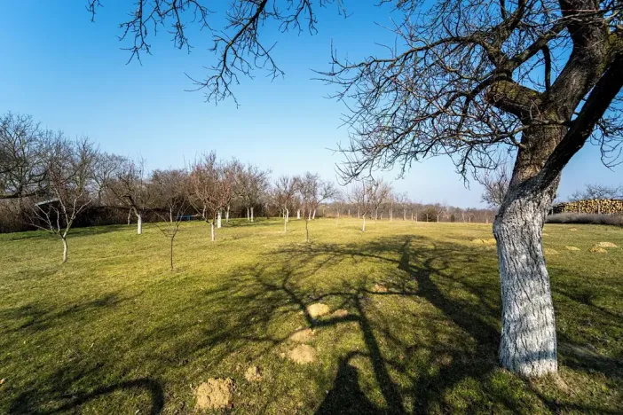 Prodej pozemku pro bydlení, Valtice, 3600 m2