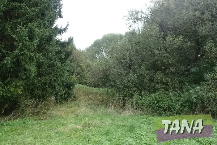 Prodej podílu pozemku pro bydlení, Mladějov, 382 m2