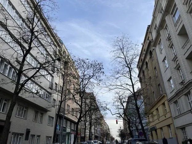 Prodej bytu 2+1, Praha, Vinohradská, 72 m2