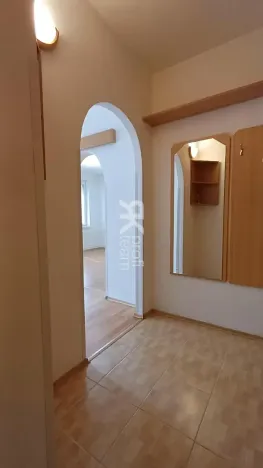 Pronájem bytu 1+1, Ostrava, Lužická, 39 m2