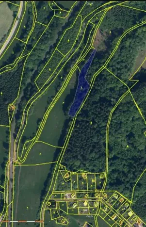 Prodej podílu lesa, Stará Paka, 2755 m2