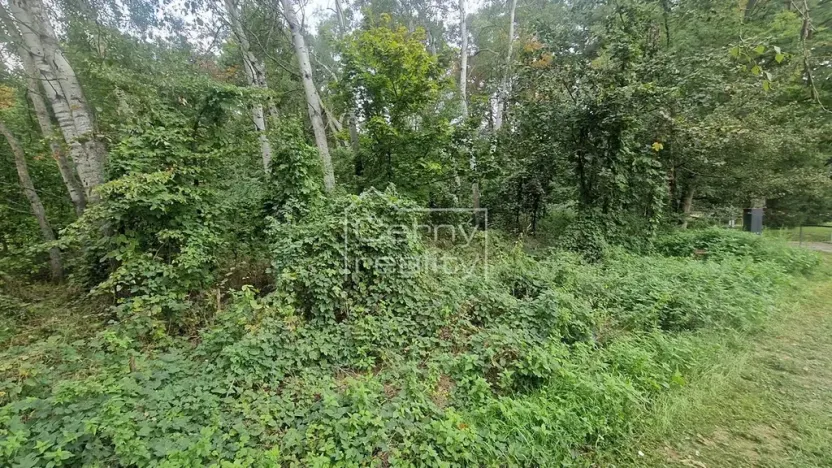 Prodej pozemku pro bydlení, Lázně Bohdaneč, Šípkova, 3376 m2