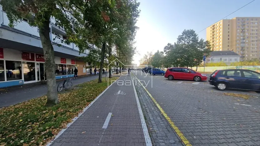 Pronájem obchodního prostoru, Pardubice, Palackého třída, 465 m2