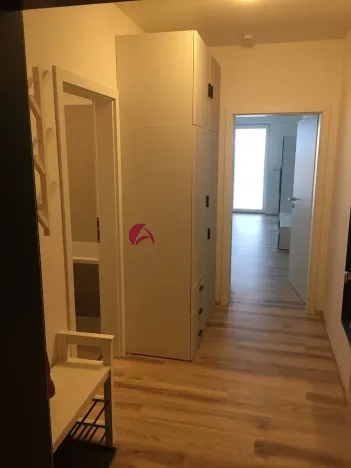 Pronájem bytu 1+kk, Olomouc, Rokycanova, 35 m2