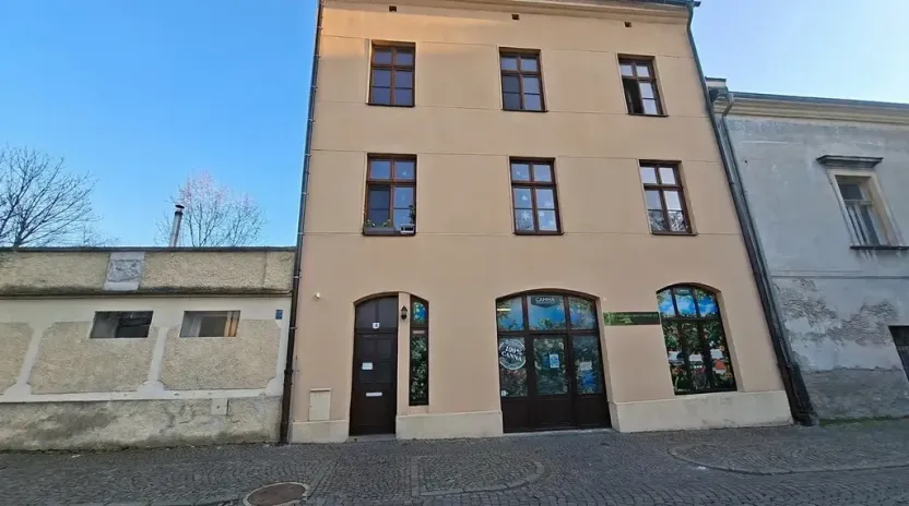 Pronájem bytu 1+1, Olomouc, Mlčochova, 55 m2