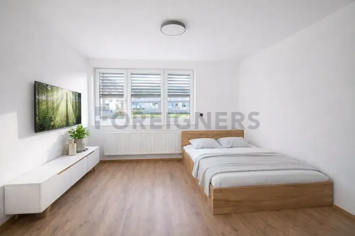 Pronájem bytu 1+kk, Brno, Fryčajova, 30 m2