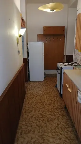 Prodej bytu 2+1, Plzeň - Východní Předměstí, Plzenecká, 56 m2