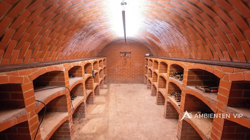 Prodej rodinného domu, Moravany, V Jámách, 382 m2