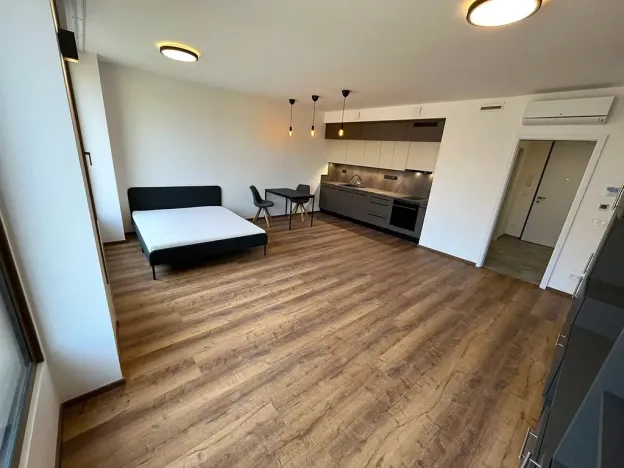 Pronájem bytu 1+kk, Brno, Slovákova, 45 m2