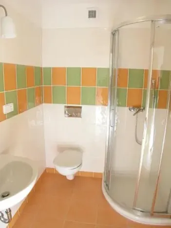 Pronájem bytu 1+kk, Brno, Božetěchova, 23 m2